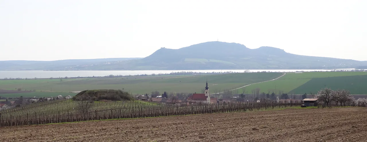 Pálava a Novomlýnské nádrže za vinicemi, v popředí obec s kostelem
